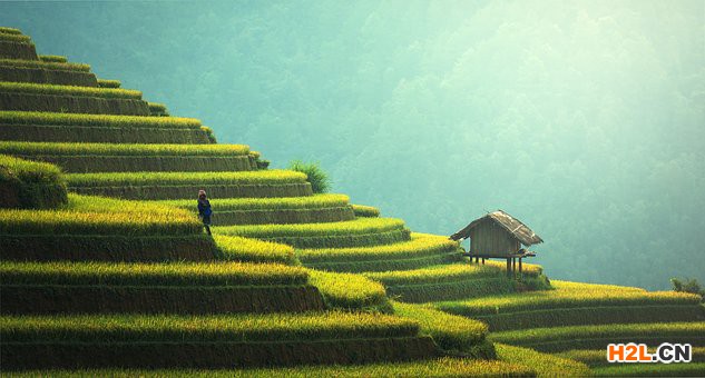 馬來西亞商標
