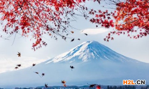 注冊日本商標的步驟