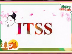 ITSS運維體系在實施中需重點關注的地方，企業要記住了