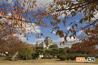 日本商標