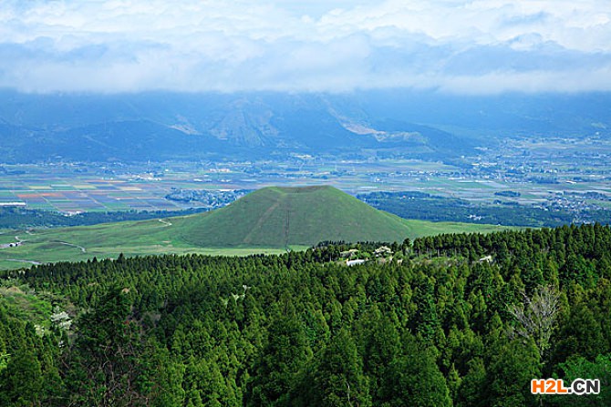 日本商標(biāo)注冊(cè)