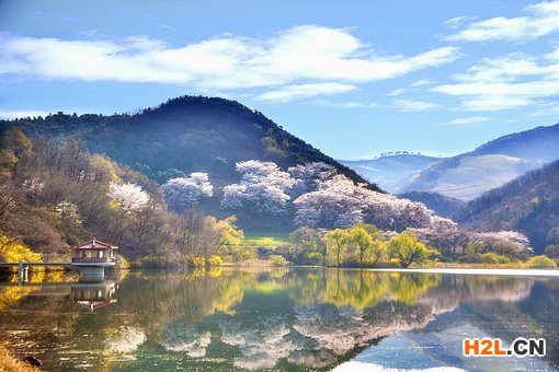 韓國商標(biāo)