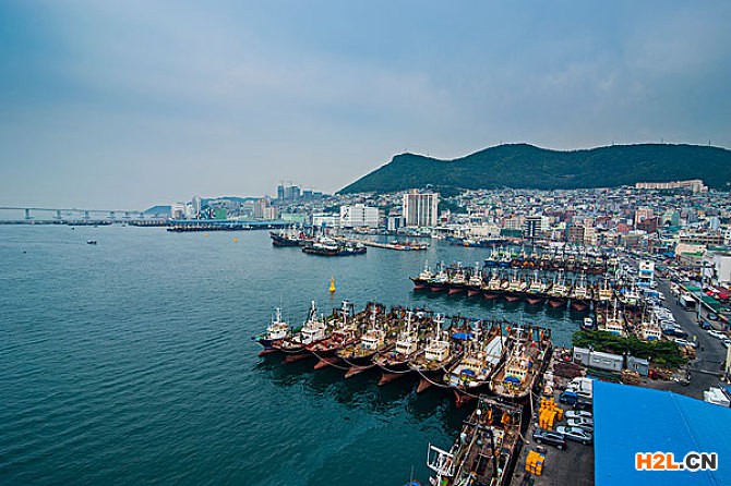 韓國外觀專利申請流程及費用？