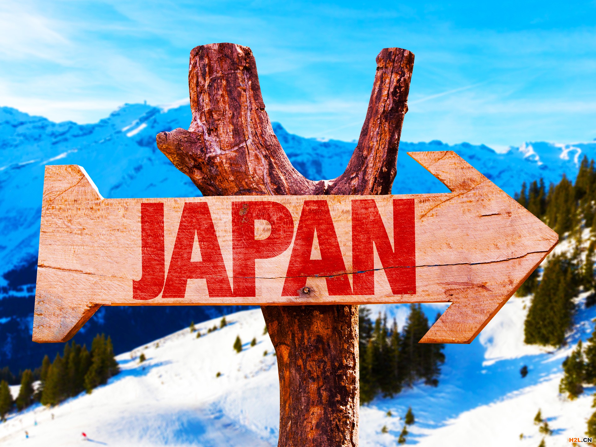 申請(qǐng)日本外觀(guān)設(shè)計(jì)專(zhuān)利的流程是怎樣的？