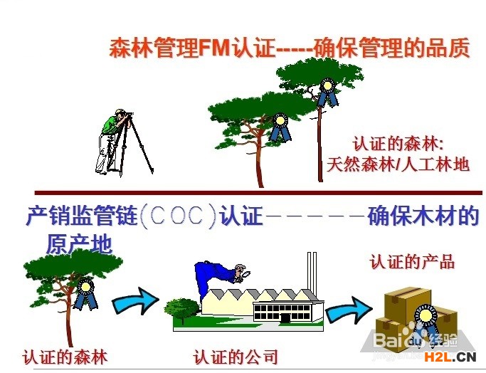 申請FSC森林認證的流程