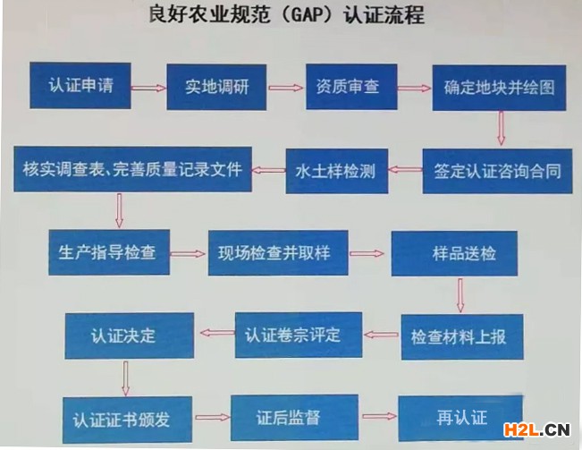 GAP認證流程圖.jpg