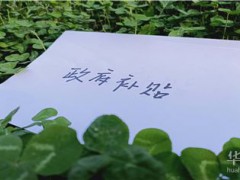 酒泉求職創業補貼申領法律依據是什么