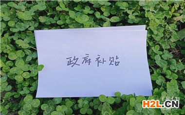 臨夏高校畢業(yè)生社保補(bǔ)貼申領(lǐng)受理?xiàng)l件有哪些