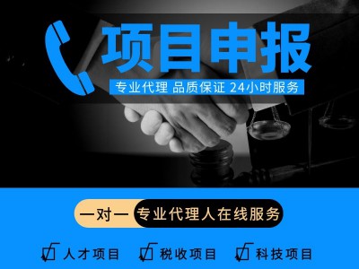 國家補貼項目申報代理公司-獲取政策優惠