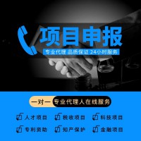 國家補貼項目申報代理公司-獲取政策優惠