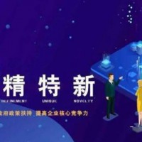 銅陵市專精特新中小企業是如何申報認定的？