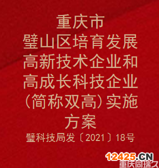 重慶市璧山區培育發展高新技術企業和高成長科技企業(簡稱雙高)實施方案(圖1)