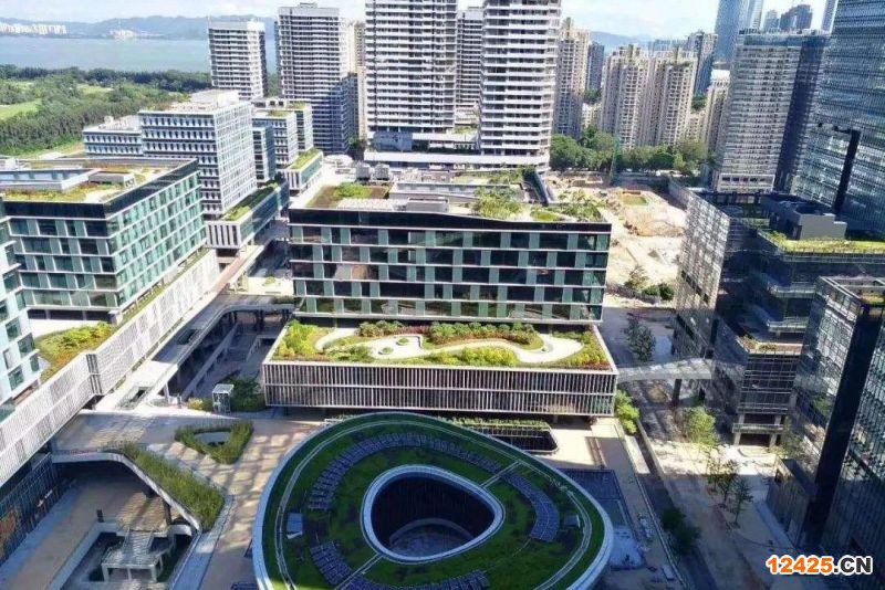 2022年深圳專精特新SS是什么意思
