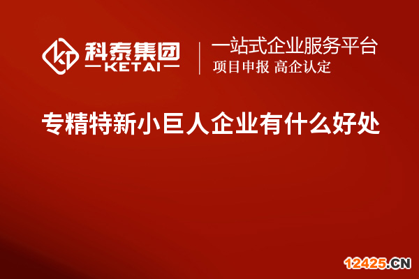 專精特新小巨人企業有什么好處