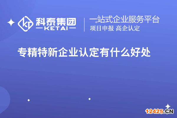 專精特新企業(yè)認定有什么好處