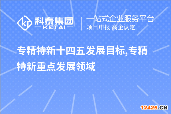 專精特新十四五發(fā)展目標,專精特新重點發(fā)展領域
