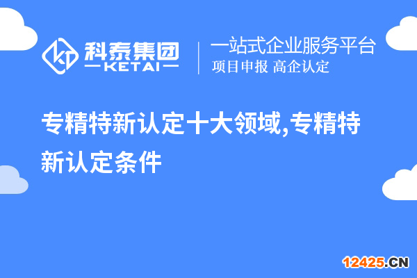 專精特新認定十大領域,專精特新認定條件