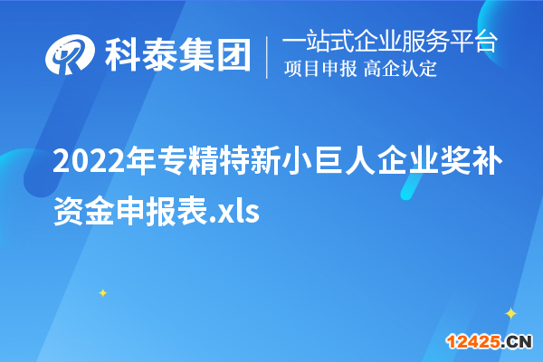 2022年專(zhuān)精特新小巨人企業(yè)獎(jiǎng)補(bǔ)資金申報(bào)表.xls