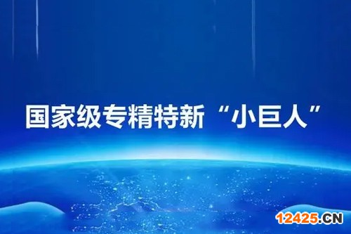 國家級專精特新小巨人申報必備條件
