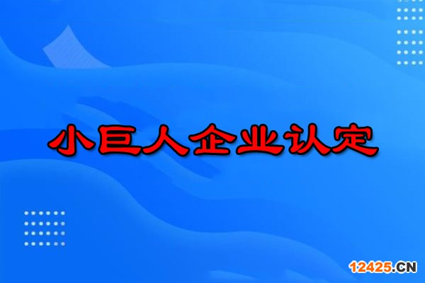 小巨人企業認定