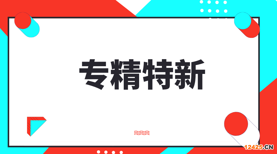 專精特新，專精特新小巨人