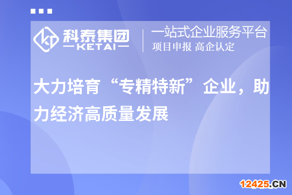 大力培育“專精特新”企業，助力經濟高質量發展