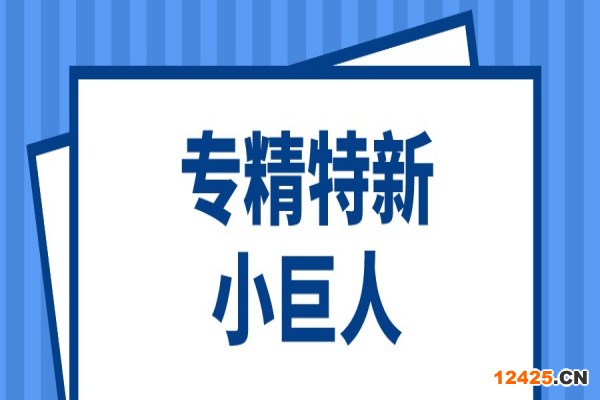 第三批第一年建議支持的國家級專精特新“小巨人”企業名單和2022年度申請簡單更名的專精特新“小巨人”企業名單的公示