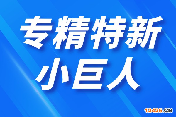 深圳市第四批專精特新“小巨人”企業和第一批專精特新“小巨人”復核通過企業名單公示