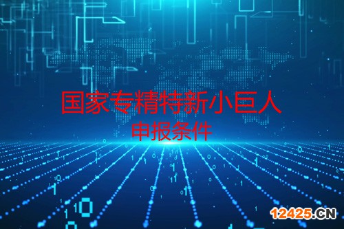 國家專精特新小巨人申報條件