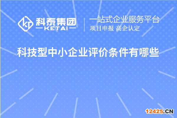 科技型中小企業評價條件有哪些