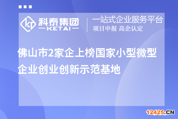 佛山市2家企上榜國家小型微型企業創業創新示范基地