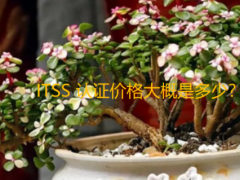 ITSS 認證價格大概是多少?