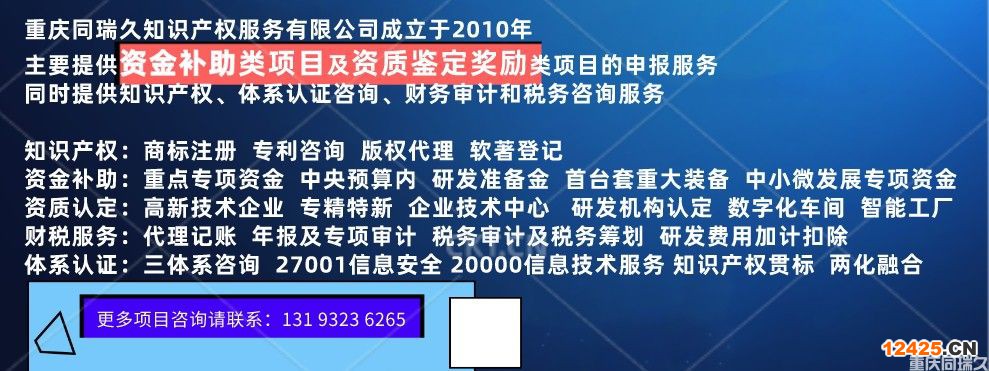 2022年重慶市大渡口區智能制造專項資金項目申報通知(圖2)