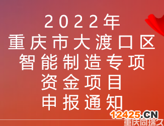 2022年重慶市大渡口區智能制造專項資金項目申報通知(圖1)