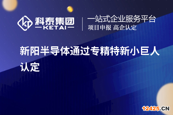 新陽半導體通過專精特新小巨人認定