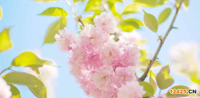 iso認(rèn)證體系是什么