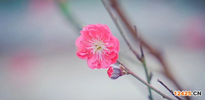 ISO體系認證有什么好的介紹
