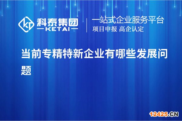 當前專精特新企業有哪些發展問題