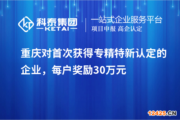 重慶對(duì)首次獲得專精特新認(rèn)定的企業(yè)，每戶獎(jiǎng)勵(lì)30萬元