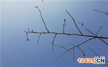 什么才是高企認(rèn)定