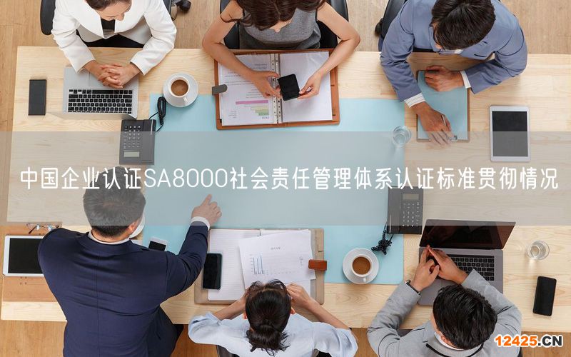 中國企業認證SA8000社會責任管理體系認證標準貫徹情況(0)