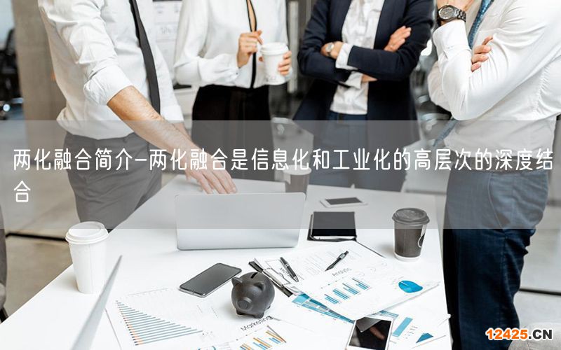 兩化融合簡介-兩化融合是信息化和工業(yè)化的高層次的深度結(jié)合(3)
