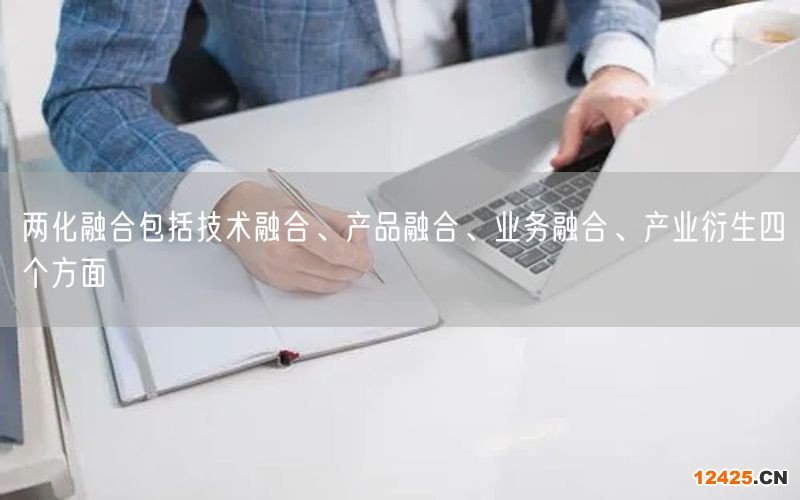 兩化融合包括技術(shù)融合、產(chǎn)品融合、業(yè)務(wù)融合、產(chǎn)業(yè)衍生四個(gè)方面(5)