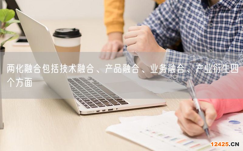 兩化融合包括技術(shù)融合、產(chǎn)品融合、業(yè)務(wù)融合、產(chǎn)業(yè)衍生四個(gè)方面(0)