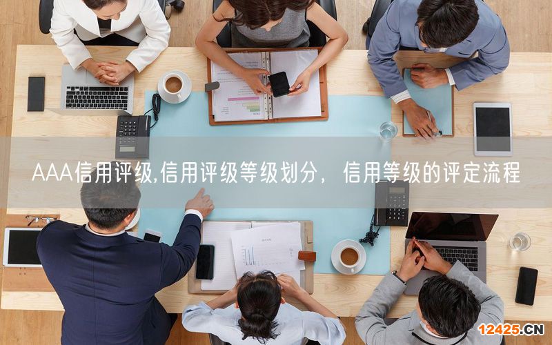 AAA信用評級,信用評級等級劃分，信用等級的評定流程(0)