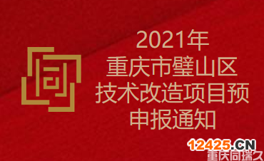 2021年重慶市璧山區技術改造項目預申報通知(圖1)