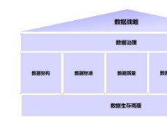 數據管理能力成熟度(DCMM)評估