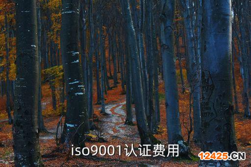 iso9001認證費用