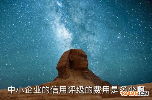 中小企業的信用評級的費用是多少啊