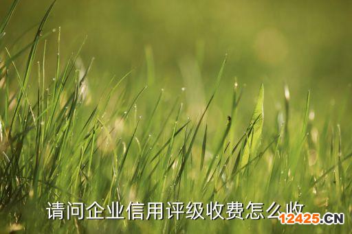 請(qǐng)問(wèn)企業(yè)信用評(píng)級(jí)收費(fèi)怎么收